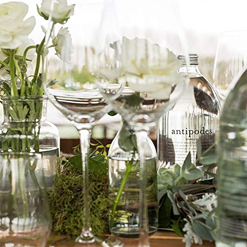 Antipodes - Still Water - 33.8 Oz 1 Liter 6 Glass Bottles