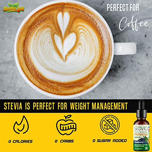 Blueberry Premium Quality Stevia Drops | Organic Liquid Stevia |