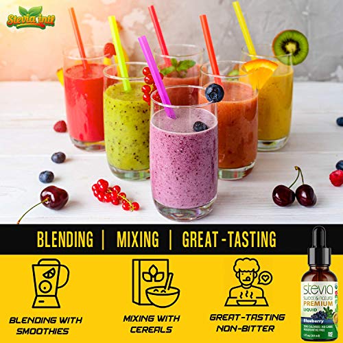 Blueberry Premium Quality Stevia Drops | Organic Liquid Stevia |