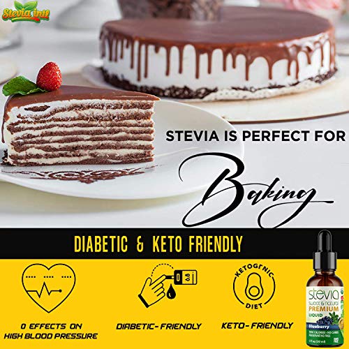 Blueberry Premium Quality Stevia Drops | Organic Liquid Stevia |