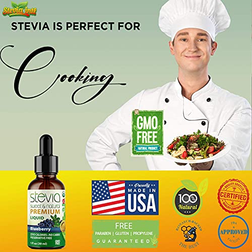 Blueberry Premium Quality Stevia Drops | Organic Liquid Stevia |