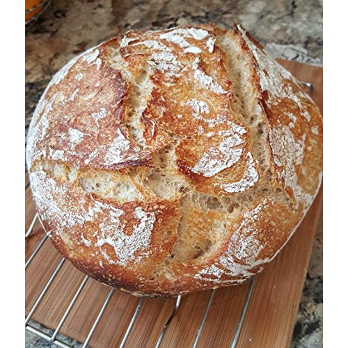 San Francisco Sourdough Dehydrated Starter