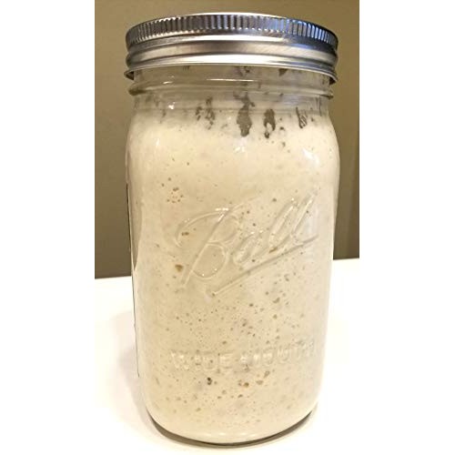 San Francisco Sourdough Dehydrated Starter