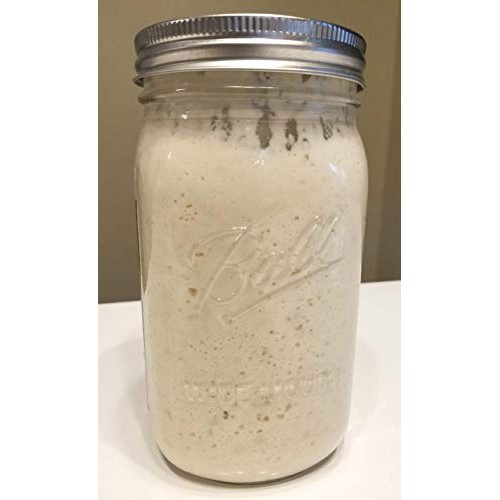 Wild Wheat Sourdough Starter Dehydrated