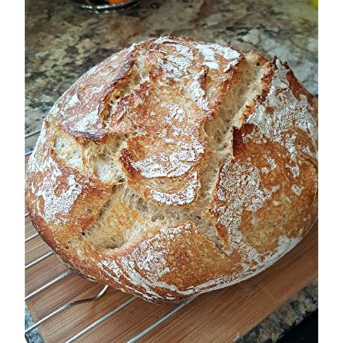 Wild Wheat Sourdough Starter Dehydrated