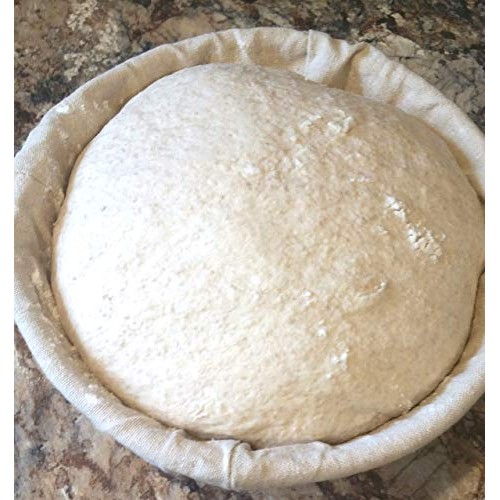 Wild Wheat Sourdough Starter Dehydrated