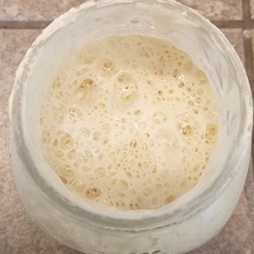 Wild Wheat Sourdough Starter Dehydrated