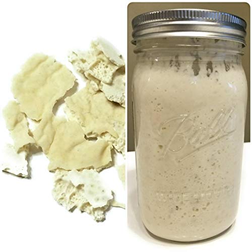 Wild Wheat Sourdough Starter Dehydrated