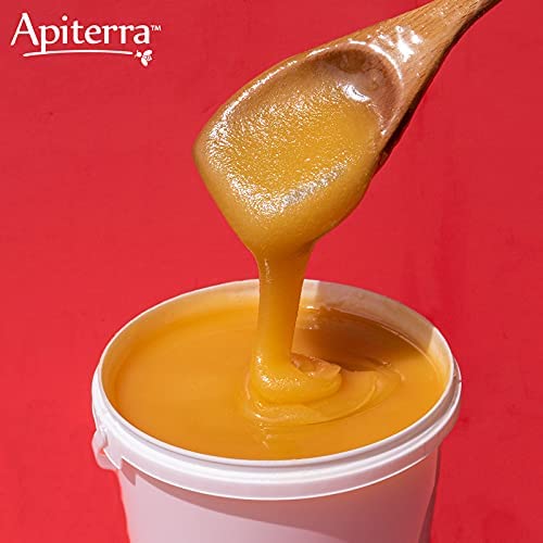Apiterra - Raw Honey Bulk 16 Lbs Bucket Unfiltered Unpasteurized