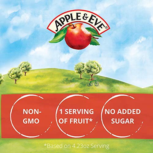 Apple &Amp; Eve Sesame Street Bert And Ernies Berry Juice, 4.23 Flu