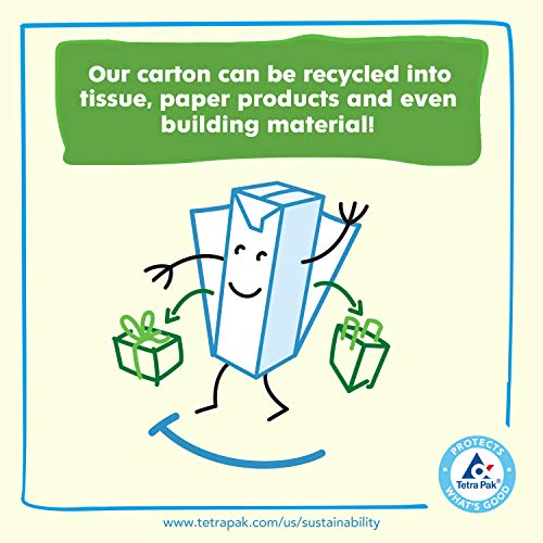 Apple &Amp; Eve Sesame Street Bert And Ernies Berry Juice, 4.23 Flu