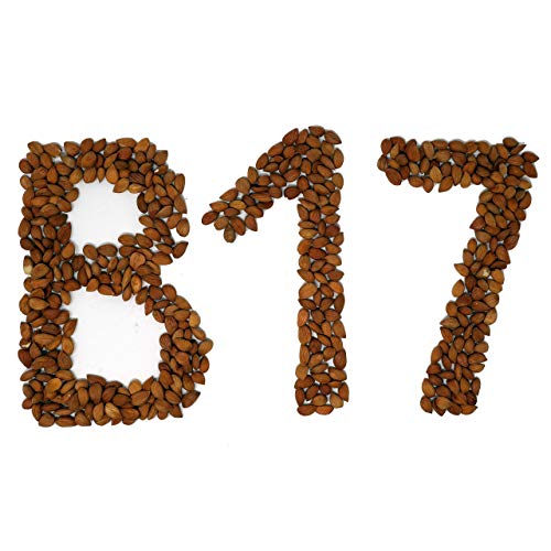 Arashan Apricots Seeds - Dried Sweet Raw Apricot Seeds, Natural|