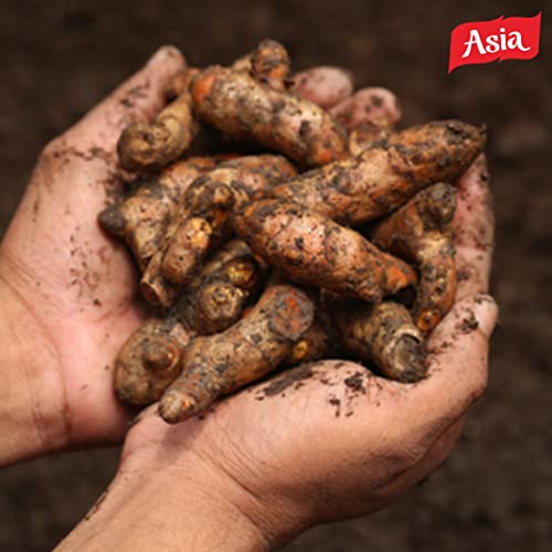 Asia Root Turmeric Powder 7.05oz 200gm | Lab Tested for Purity...