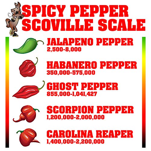 Ass Kickin Carolina Reaper Hot Spicy Salsa - 13 Oz. - Premium G