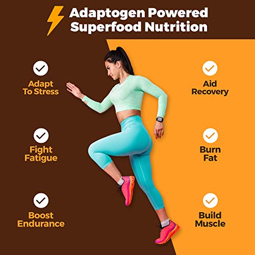 Atlas Bar - Keto Protein Bars, Peanut Butter Chocolate Chip - Hi