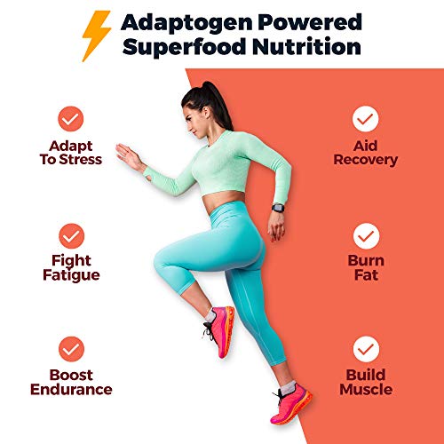 Atlas Bar - Keto Protein Bars, Peanut Butter Raspberry - High Pr