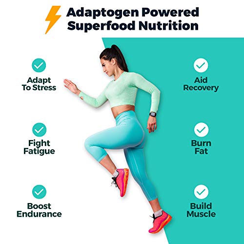 Atlas Protein Bar - Keto Friendly, Mint Chocolate Chip 10-