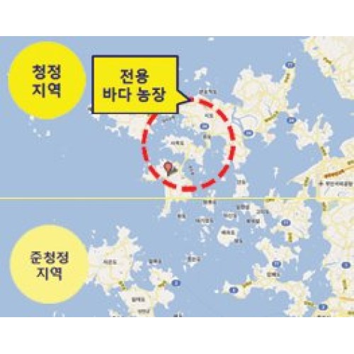 Atomy Korean Seaweed Snack Kim Nori, Roasted &Amp; Sea Salted, 18G