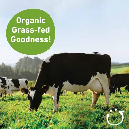 Bubs Organic Grass Fed Infant Formula Stage 1, Infants 0-6 Month