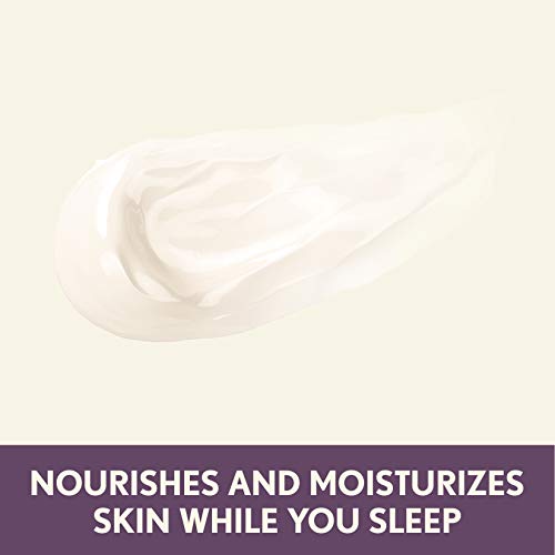 Aveeno Absolutely Ageless Restorative Night Cream Facial Moistur