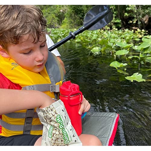 Awsum Snacks Organic Quinoa Puffs 1oz bag 12 bags Real Healthy...