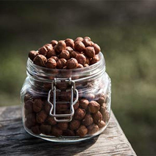 Aznut Raw Hazelnuts Natural Non-Gmo Certified,Kosher Certified,