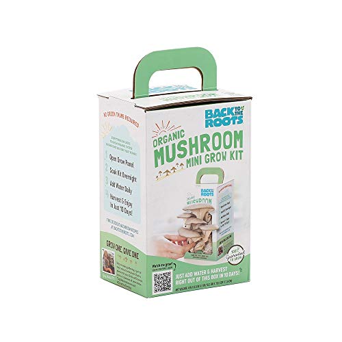 Back To The Roots Organic Mini Mushroom Grow Kit, Harvest Gourme