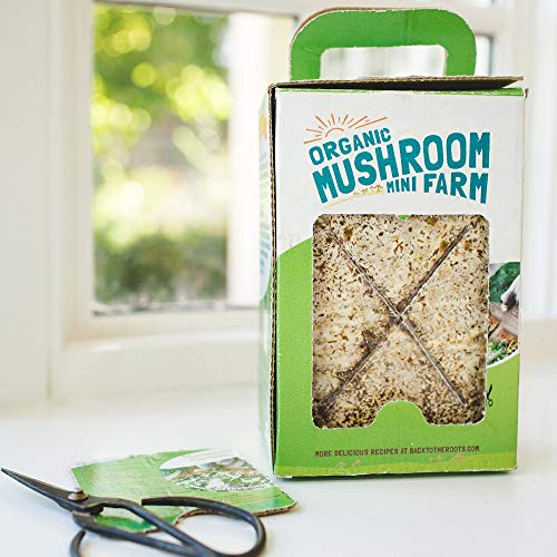 Back To The Roots Organic Mini Mushroom Grow Kit, Harvest Gourme