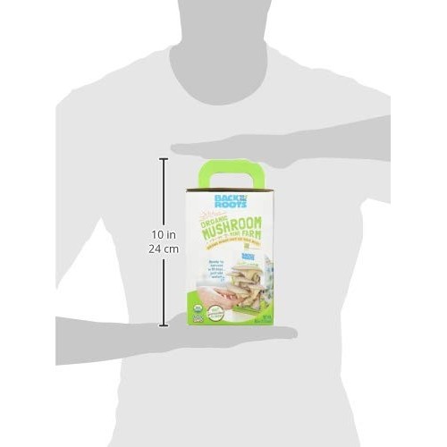 Back To The Roots Organic Mini Mushroom Grow Kit, Harvest Gourme