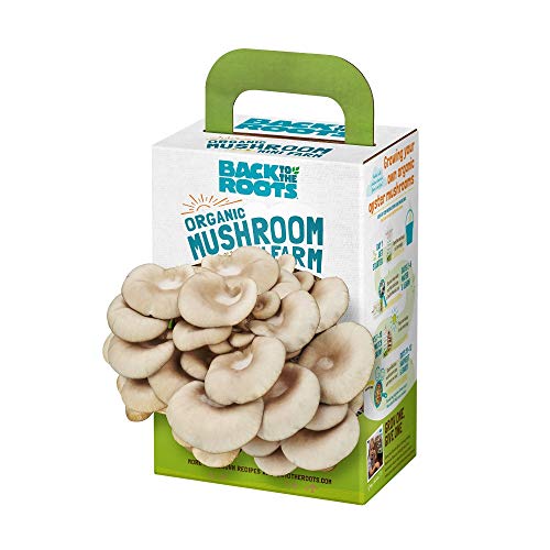 Back To The Roots Organic Mini Mushroom Grow Kit, Harvest Gourme