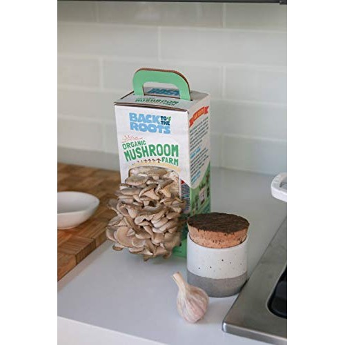 Back To The Roots Organic Mushroom Growing Kit, Harvest Gourmet