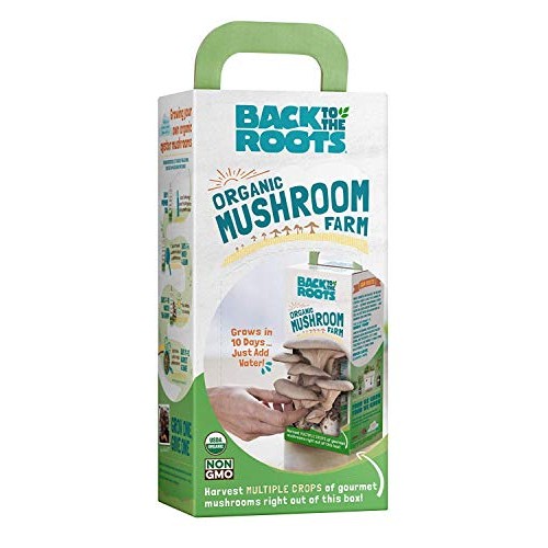 Back To The Roots Organic Mushroom Growing Kit, Harvest Gourmet