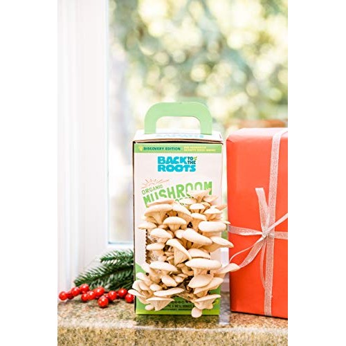 Back To The Roots Organic Mushroom Growing Kit, Harvest Gourmet