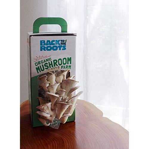Back To The Roots Organic Mushroom Growing Kit, Harvest Gourmet