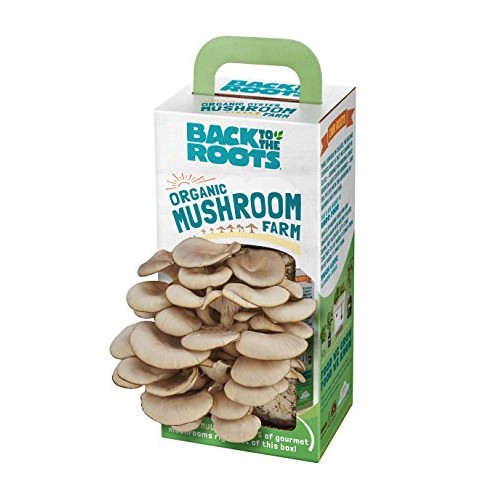 Back To The Roots Organic Mushroom Growing Kit, Harvest Gourmet