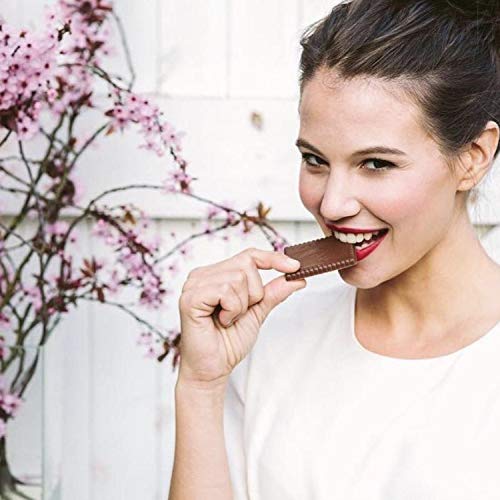 Bahlsen Choco Leibniz Milk Cookies 1 Box