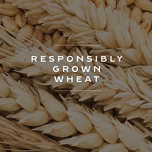 Bahlsen Delice, Deloba, and Butter Leaves Sampler 3 Pack | 3 c...