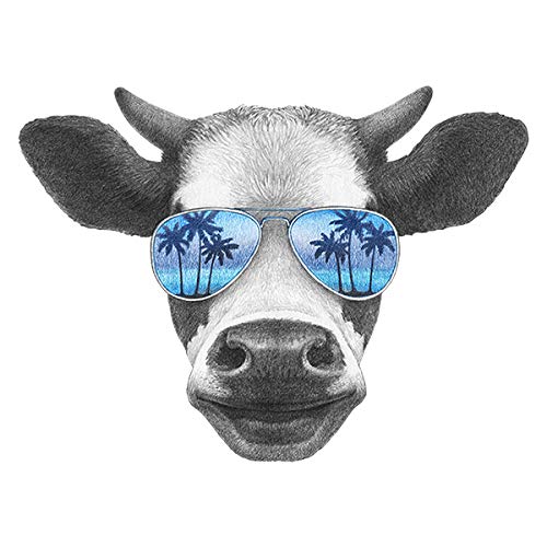 Baja Beef Jerky Sampler Pack | Gluten Free Craft Jerky, 25G Prot