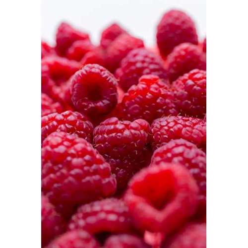 Bakto Flavors Fruit Frenzy Collection - Version 2 - 12 1 Oz Bo