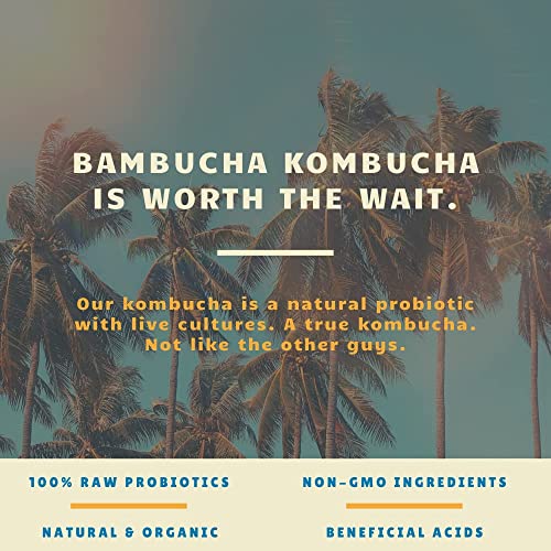 Bambucha Kombucha Blueberry Tart 12 Pack Case | Chef Crafted Fla... Bambucha Kombucha Blueberry Tart 12 Pack Case | Chef Crafted Fla...