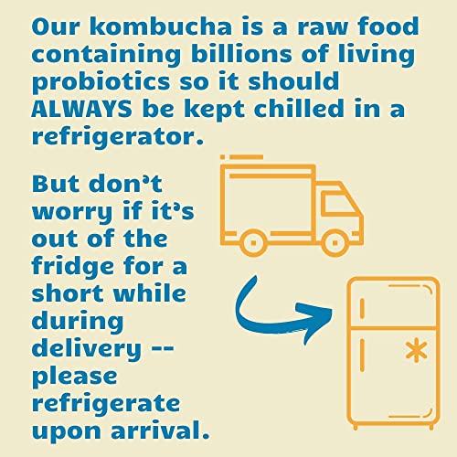 Bambucha Kombucha Blueberry Tart 12 Pack Case | Chef Crafted Fla... Bambucha Kombucha Blueberry Tart 12 Pack Case | Chef Crafted Fla...