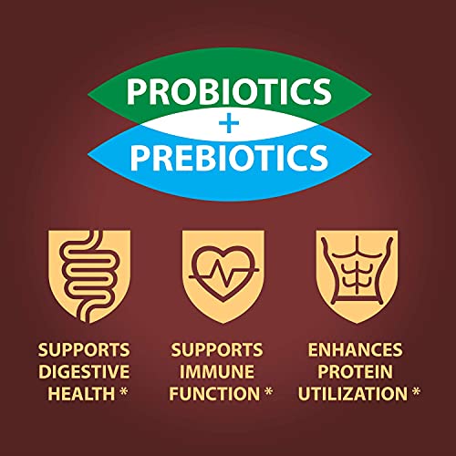 Banana Chips - Dried Bananas Gluten Free Chips Hickory Bbq Deh