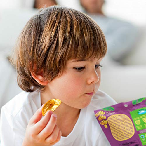 Banana Chips - Dried Bananas Gluten Free Chips Siracha Flavor