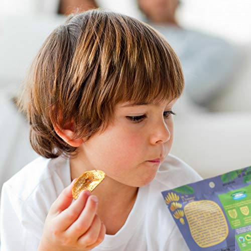 Banana Chips Mix - Dried Bananas Gluten Free Chips. Dehydrated F