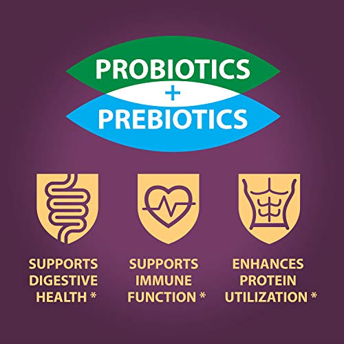 Banana Chips Mix - Dried Bananas Gluten Free Chips. Dehydrated F