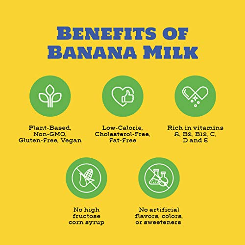 Banana Wave Banana Milk | Chocolate Milk | Vegan Oat Milk, Glute