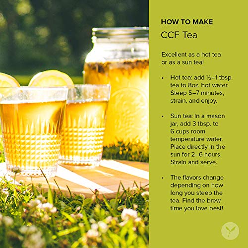 Banyan Botanicals Detox Digest Ccf Tea – Organic Turmeric Ginger