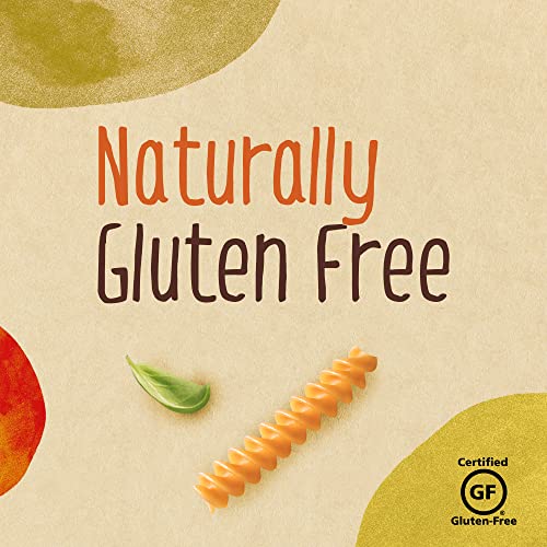 Barilla Chickpea Rotini Pasta, 8.8 Ounce Pack Of 10 - Plant Ba