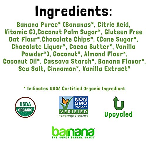 Barnana Organic Crunchy Banana Brittle - Toasted Coconut Chocola