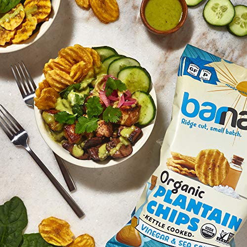 Barnana Organic Plantain Chips, Salt & Vinegar Paleo & Vegan Rid...